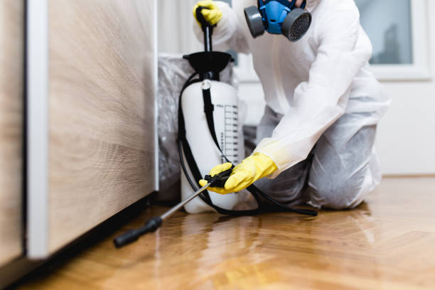 Best Mosquito Control Services  in Roanoke, IL