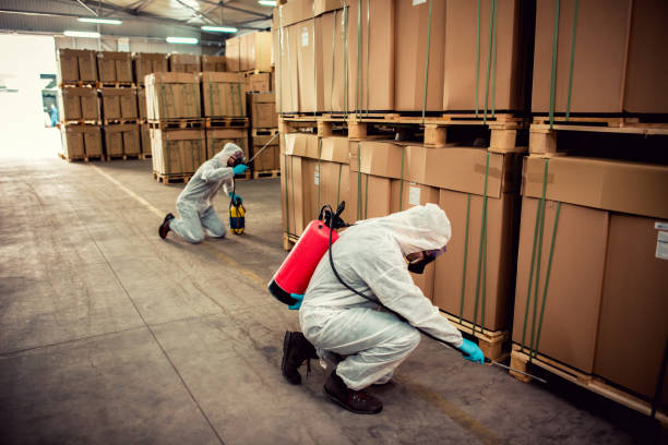 Trusted Roanoke, IL Pest Control Experts