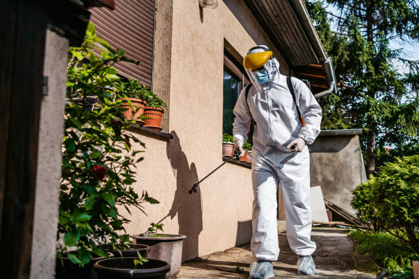 Best Affordable Pest Control Services  in Roanoke, IL