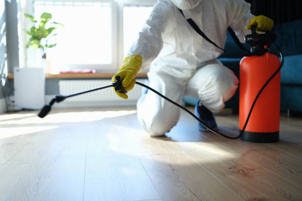 Best Pest Control Treatment  in Roanoke, IL