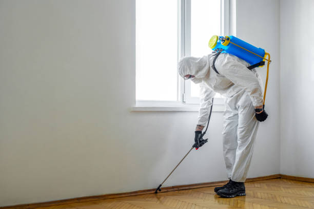 Best Commercial Pest Control Services  in Roanoke, IL