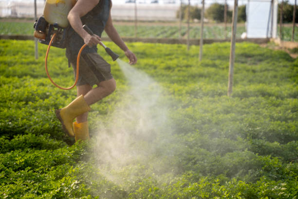 Best Affordable Pest Control Services  in Roanoke, IL