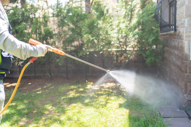 Best Pest Inspection Near Me  in Roanoke, IL