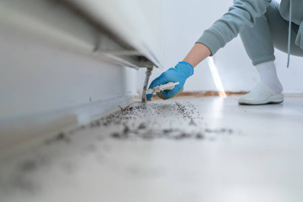 Best Best Pest Control Companies  in Roanoke, IL