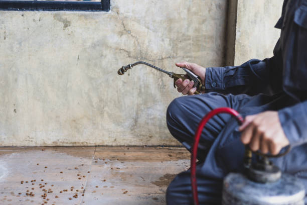 Best Pest Removal Services  in Roanoke, IL